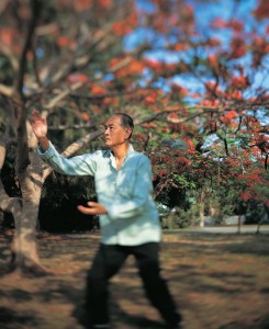 tai chi2