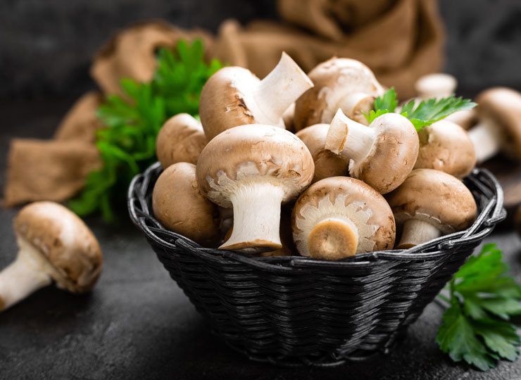 Mushrooms Help Memory