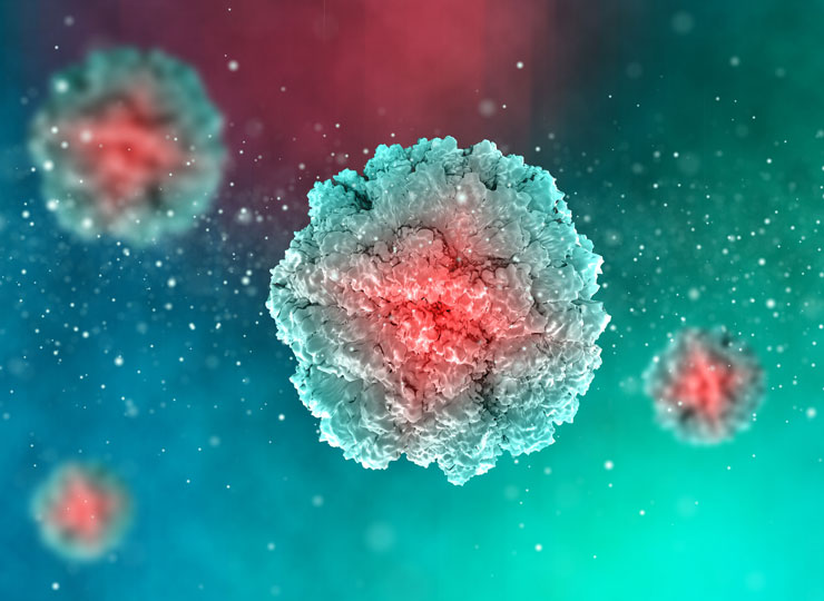 3D illustration of herpes simplex virus (HSV-1), which may be linked to Alzheimer's disease.